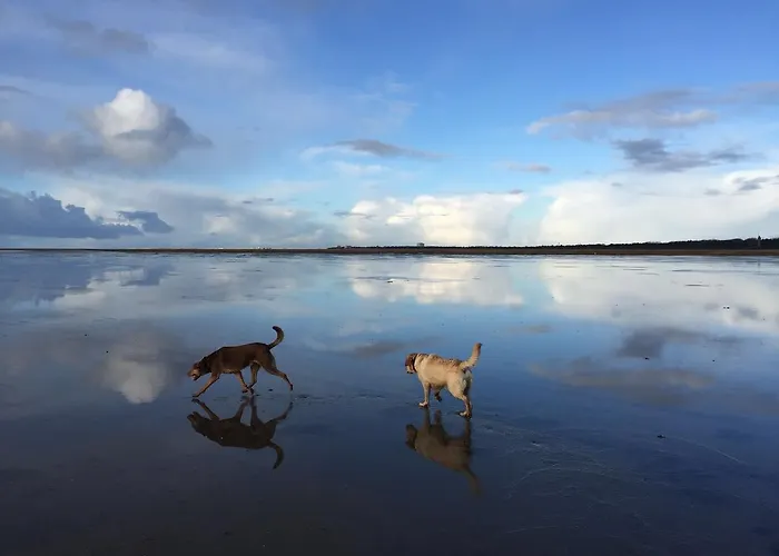 Lieblingsplatz Strandhotel Hotel Sankt Peter-Ording